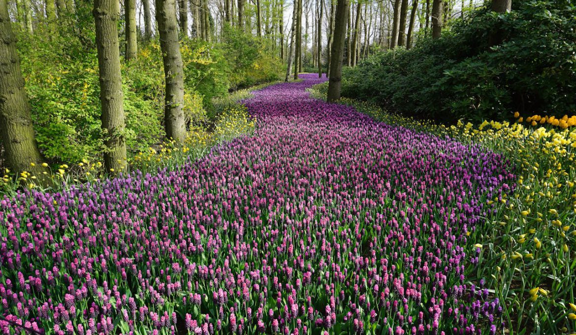 De magie van het buitenleven in de eigen tuin